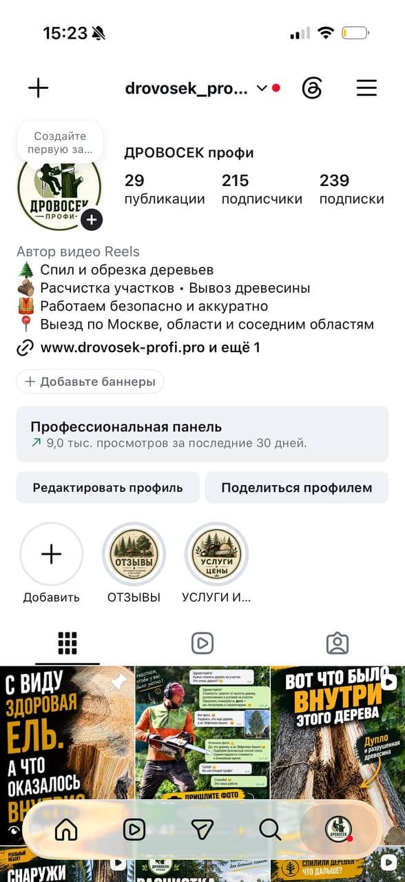 ДРОВОСЕК-профи: скриншот аккаунта
